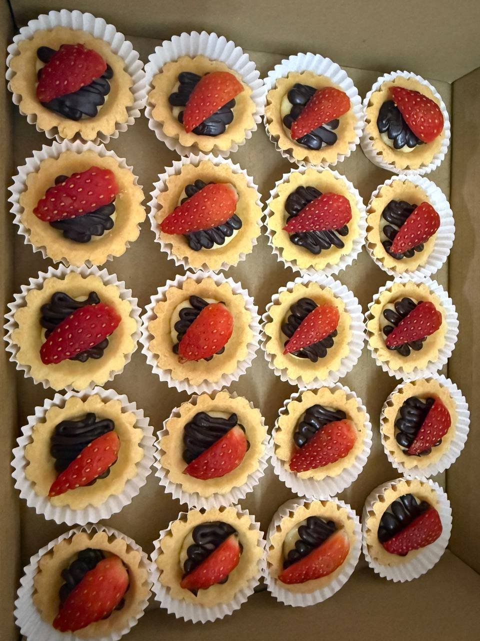 Chocolate Tart Fruit Shell